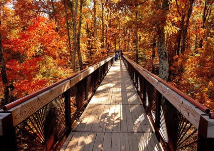 Bernheim Forest hiking